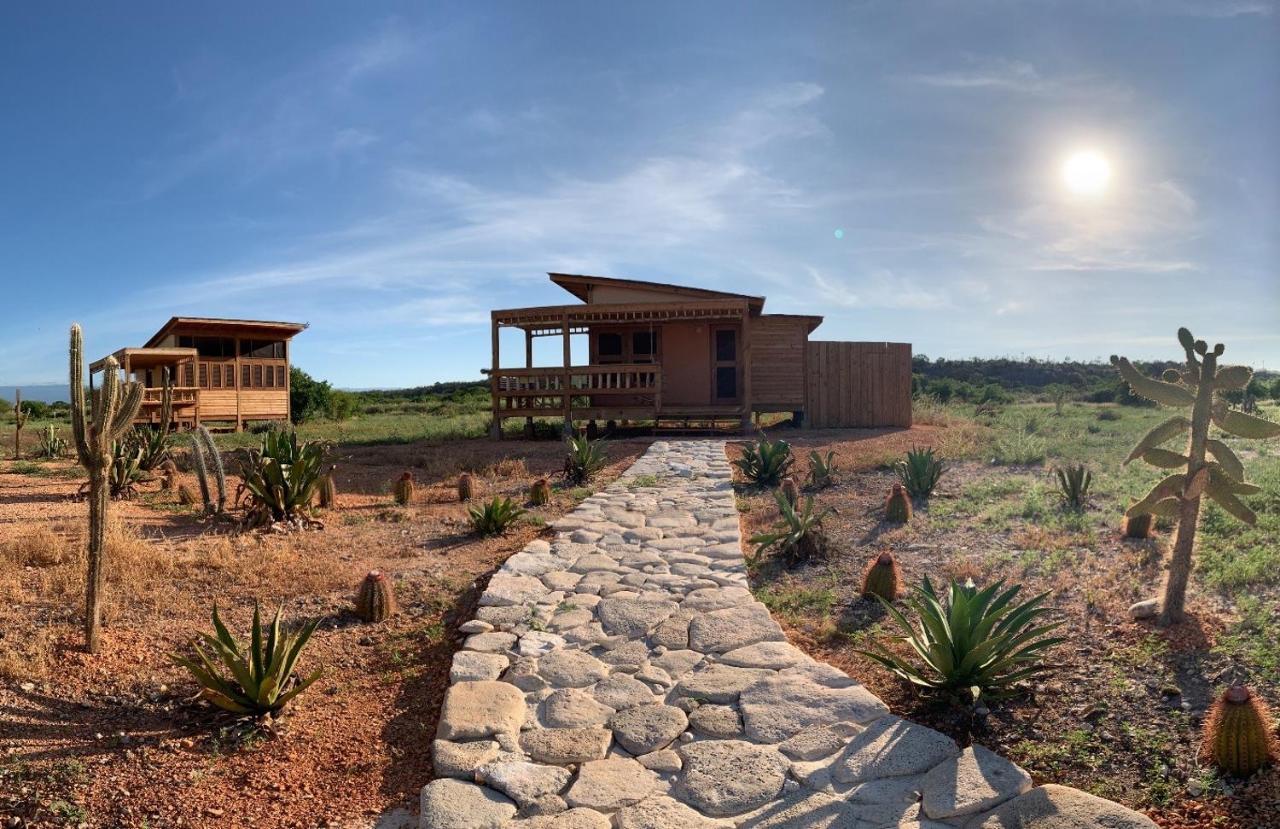 فندق Eco Del Mar بدرنالس المظهر الخارجي الصورة